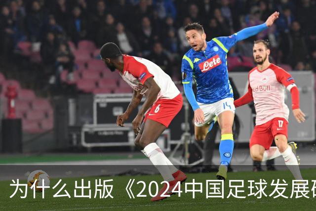 为什么出版《2024中国足球发展研讨会白皮书》？